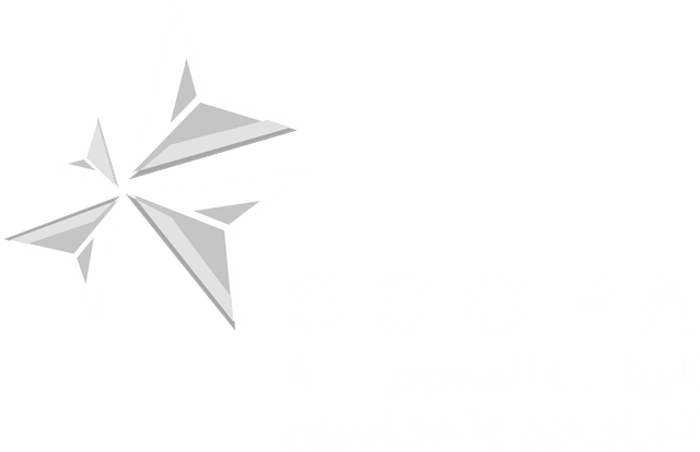 Saudi Organization for Chartered and Professional Accountants
